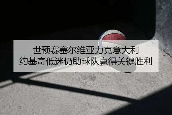 世预赛塞尔维亚力克意大利 约基奇低迷仍助球队赢得关键胜利